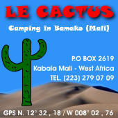 Le Cactus