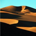 desert (11)