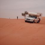 desert (17)