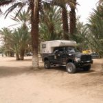 desert (25)