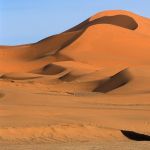 desert (8)