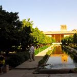 iran (133)