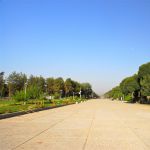 iran (159)