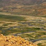 iran (228)