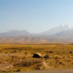 iran (38)