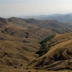 iran (43)