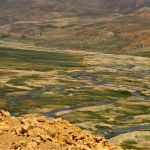 iran (258)
