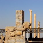 iran (339)