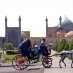 iran (423)