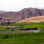 iran (439)