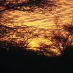 sky (6)
