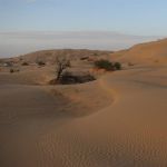 tunisia (123)