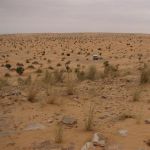 tunisia (157)