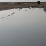tunisia (47)