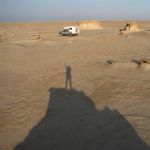 tunisia (50)