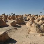 tunisia (81)